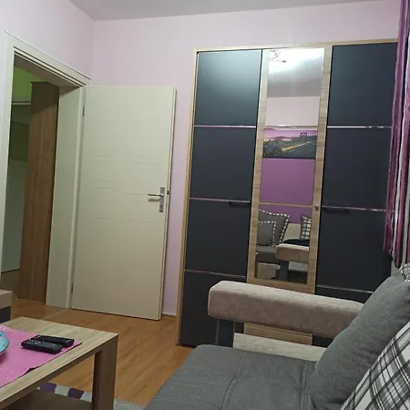 Apartment Aleksandar 81