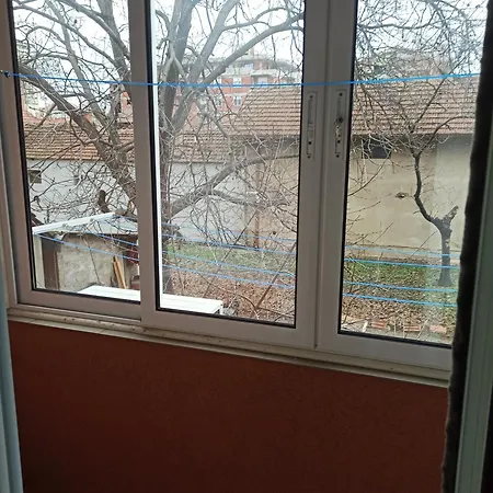Aleksandar 81 * Jagodina