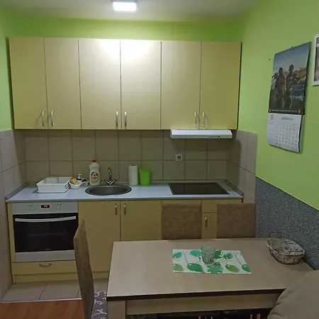 Apartment Aleksandar 81 *